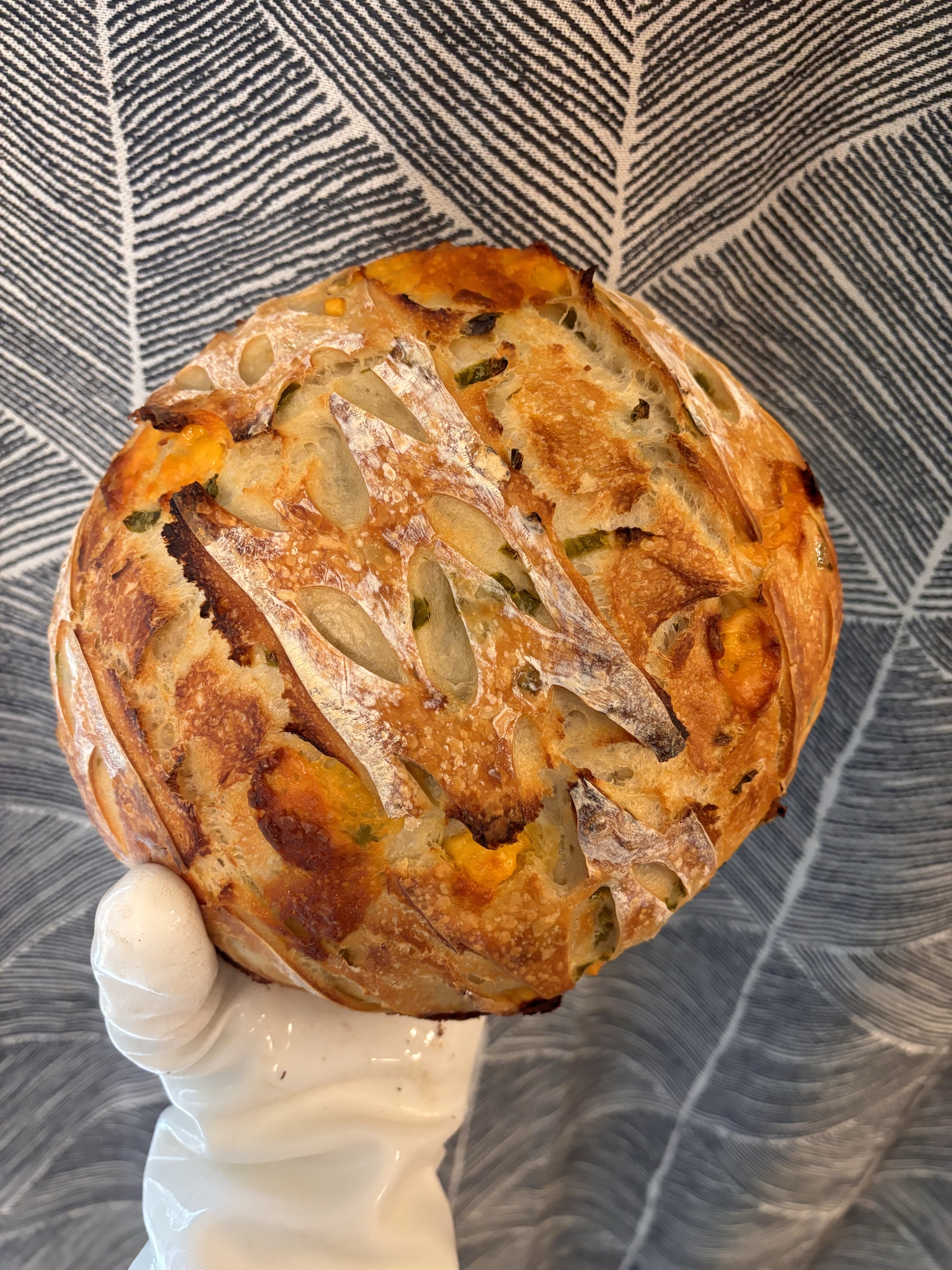 Jalapeño Cheddar 
