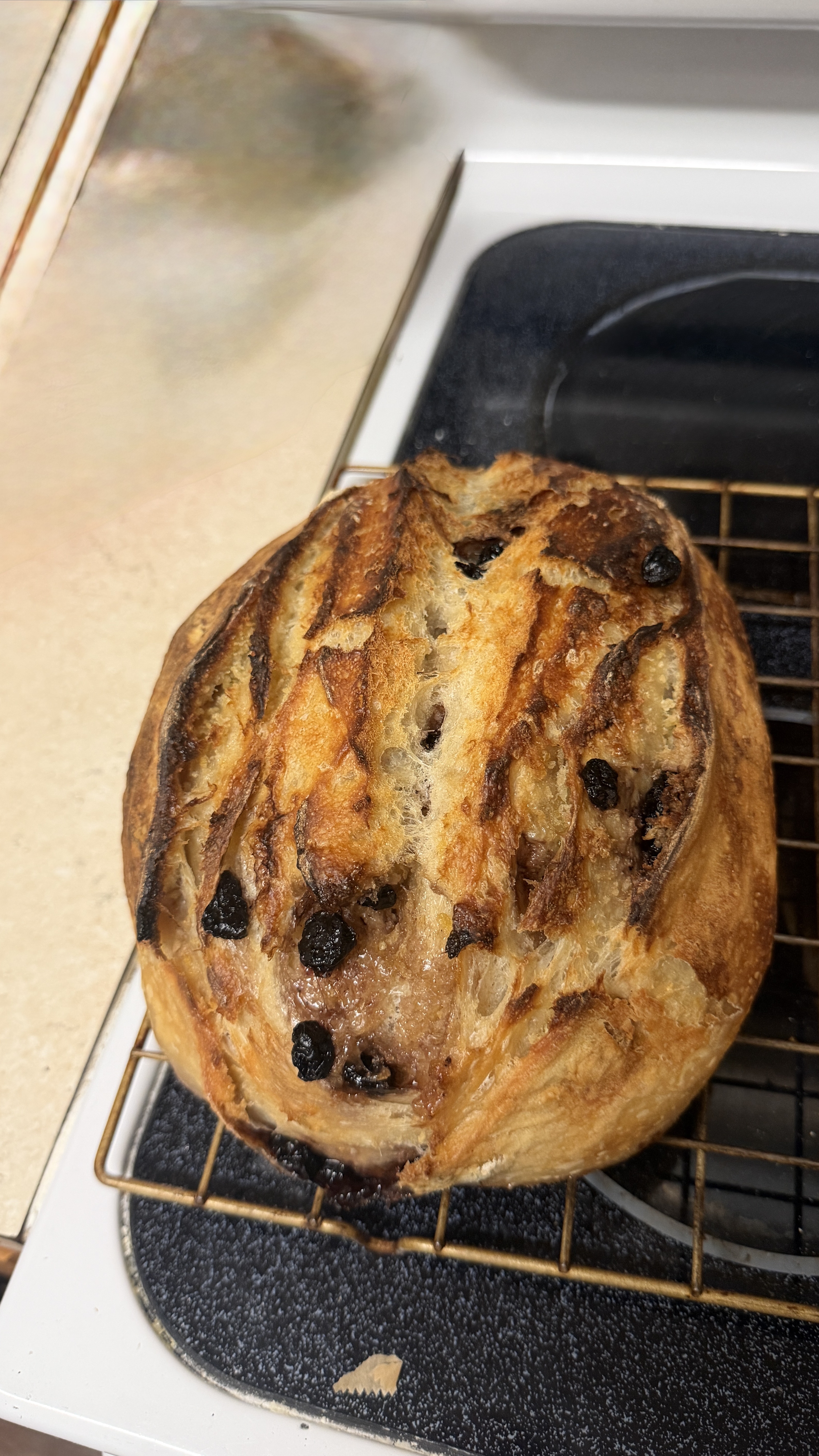 Blueberry Lemon Sourdough Bread