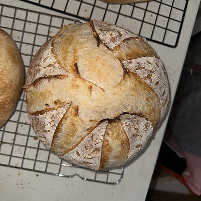 Sourdough