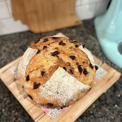 Chocolate Chip Infused Sourdough Loaf 