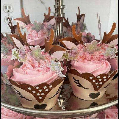 Cupcakes By The Dozen 