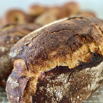 Sourdough Batard