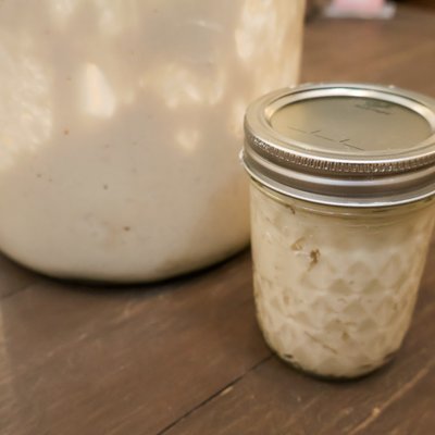 Sourdough Starter 