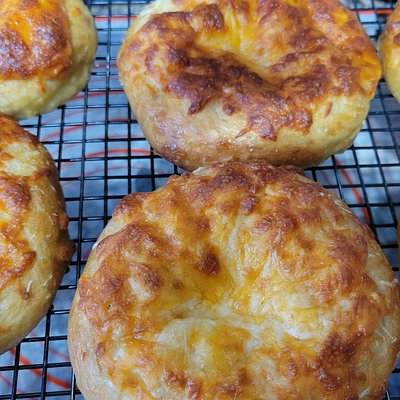 The Daily Seven (Artisan Bagels)