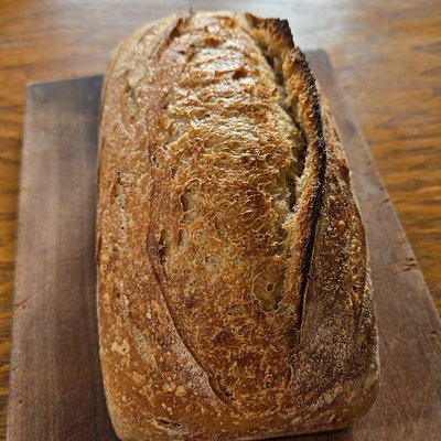  Sourdough Sandwich Loaf