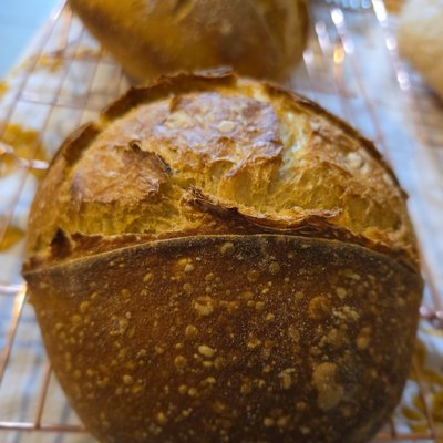 Pumpkin 🎃  SOURDOUGH 