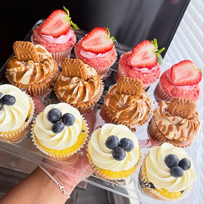 Jumbo Gourmet Cupcakes 