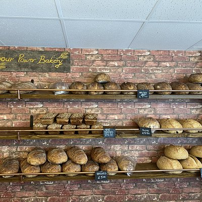 Inclusion Of The Month