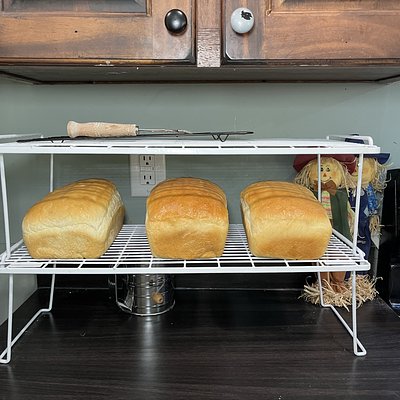 NON Sourdough Sandwich  Bread