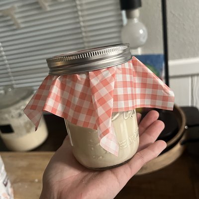 Sourdough Starter 