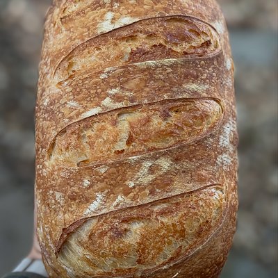 Plain Sourdough Sandwich Bread 