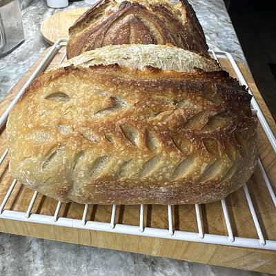 Classic Sourdough Bread 