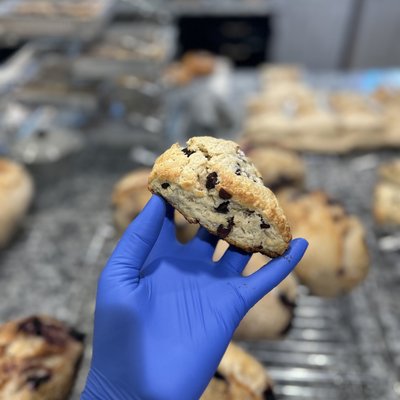 Chocolate Chip Scone - Double