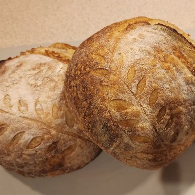 Artisan Sourdough - Plain