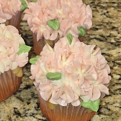 Vanilla Cupcake Vanilla Frosting - 6 Count