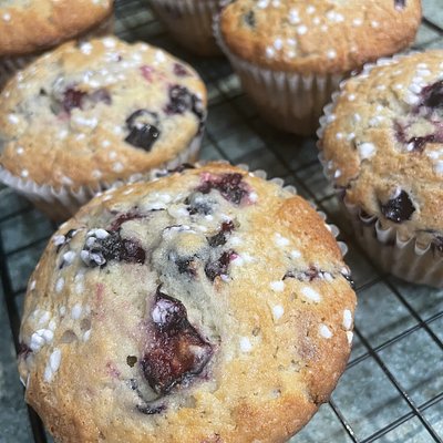 Big Blueberry Muffins (4 Large) 