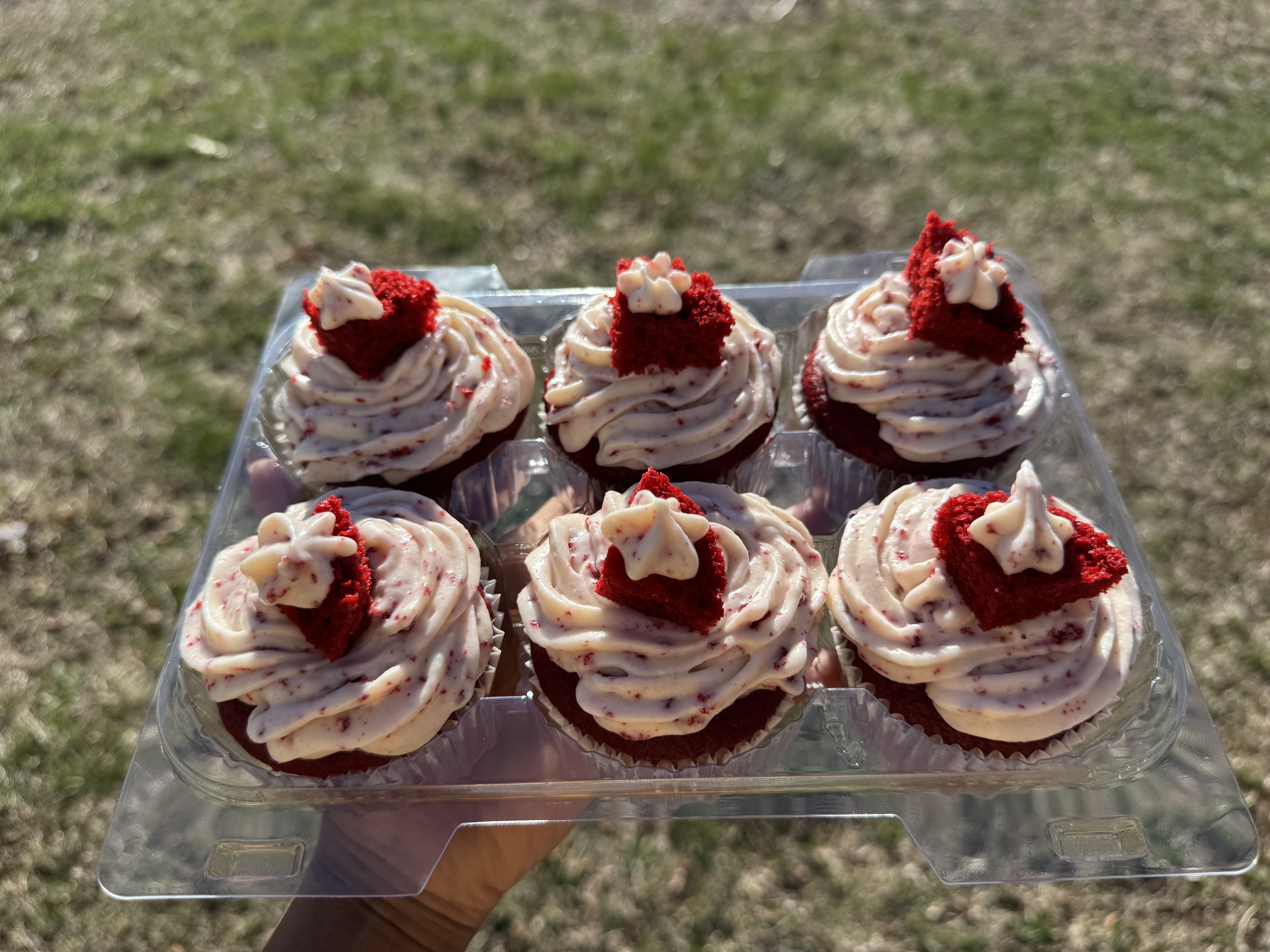 Half Dozen Cupcakes 
