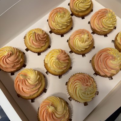 chocolate/vanilla cupcakes with vanilla butter cream