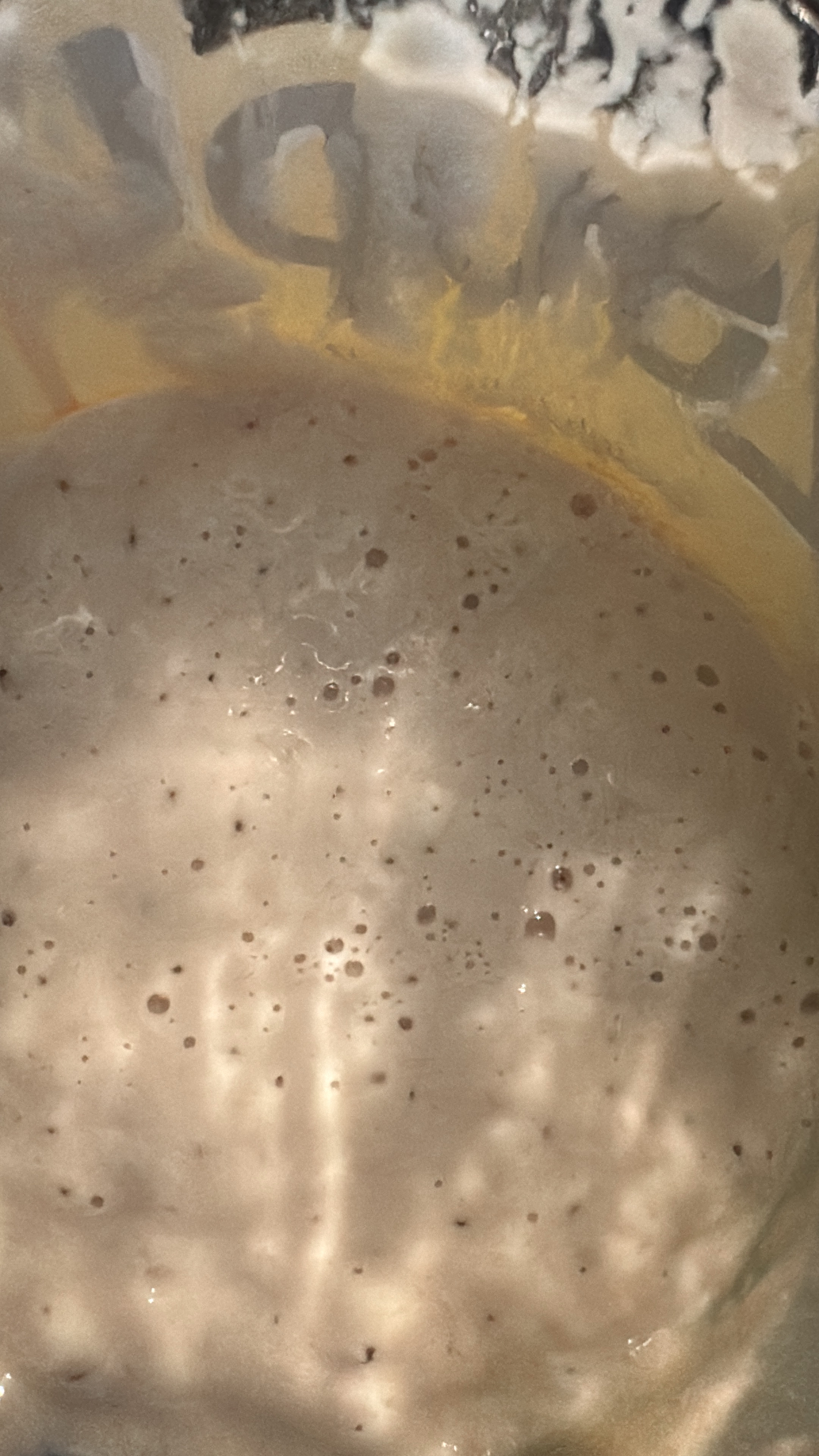 Sourdough Starter