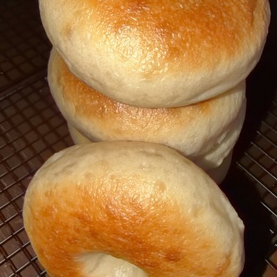CLASSIC (plain Jane) Sourdough Bagels 4cnt 🥯