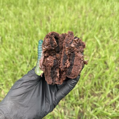 MEGA Dirt Cake - 1 Pack