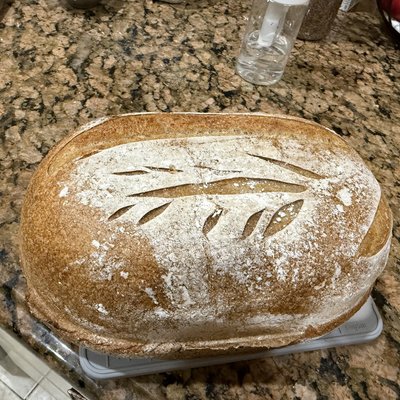 Plain Sourdough 