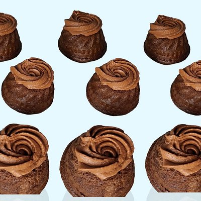 Classic Dolcini Dozen