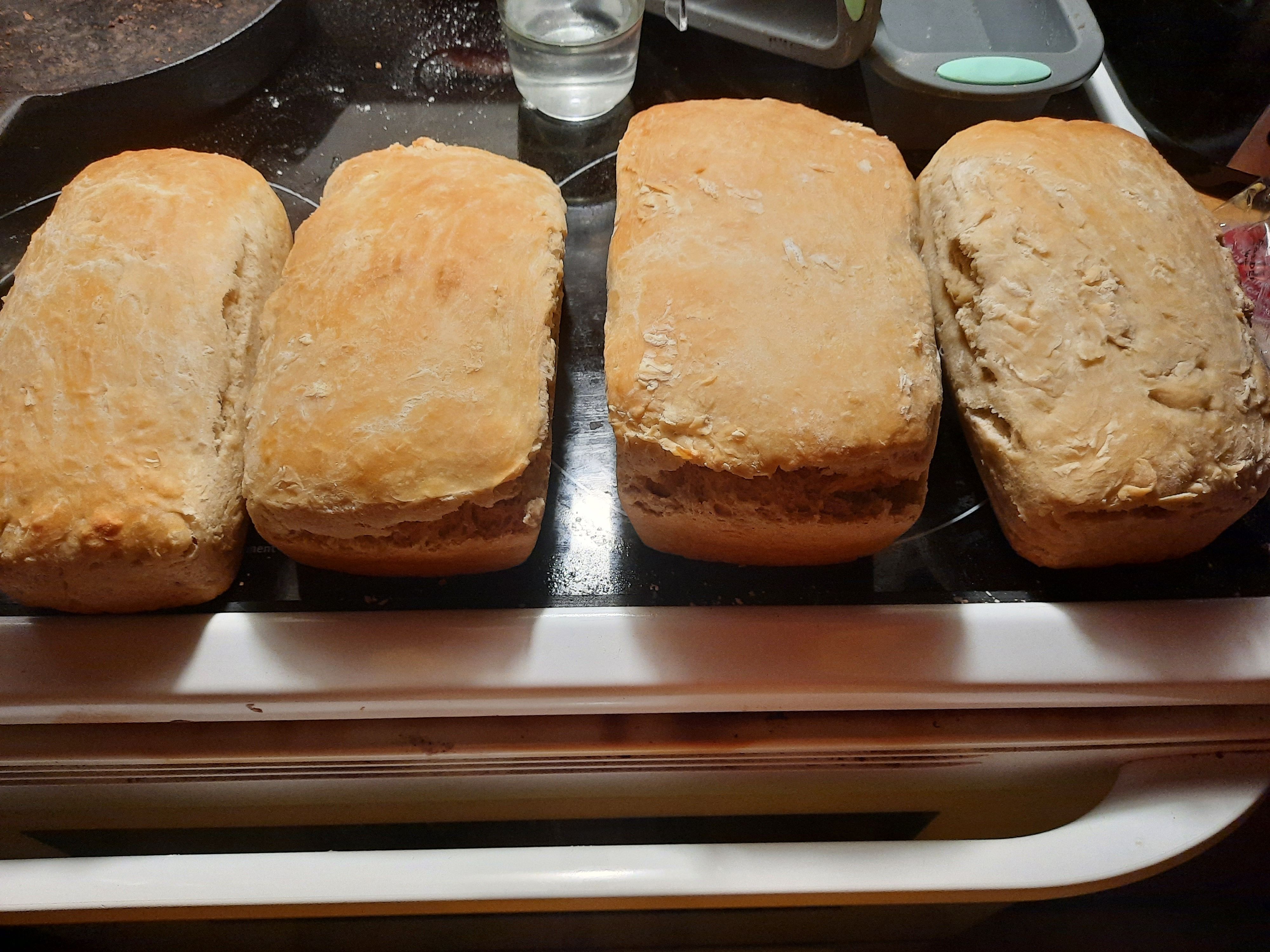 Sour Dough Bread