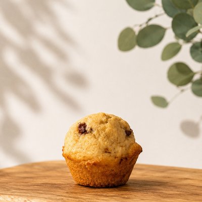Mini Muffins 
