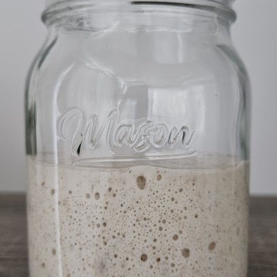 Sourdough Starter