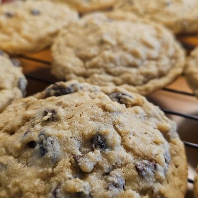 Chocolate Chip Oatmeal Raisin