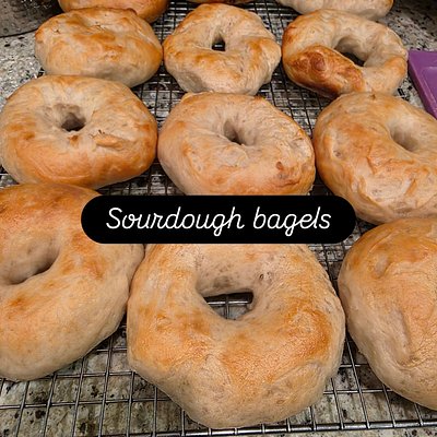 Sourdough Bagels