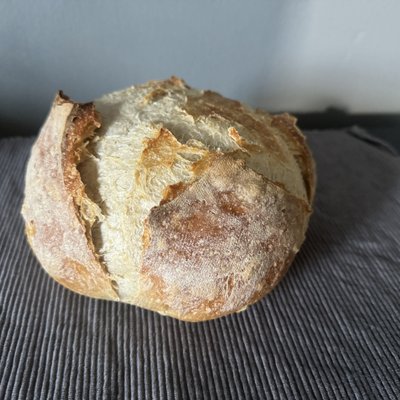Plain Round Loaf