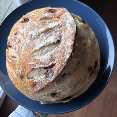 Cranberry Walnut Sourdough Bread 