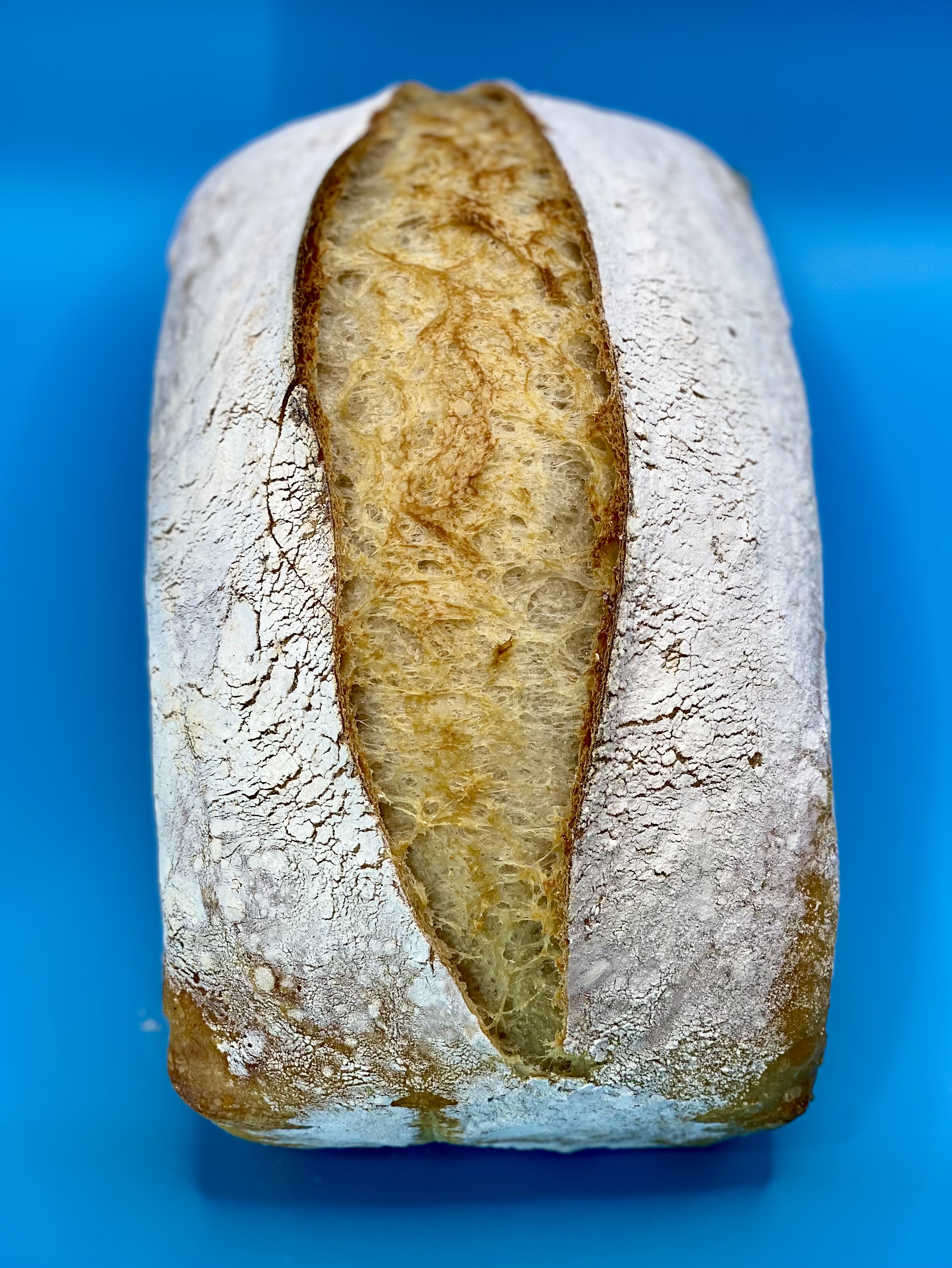 Plain Sourdough Loaf