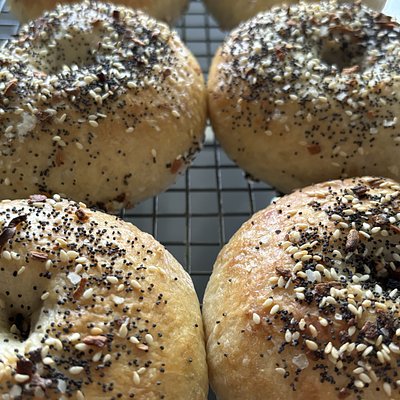 Everything Bagels