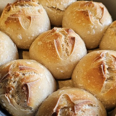 Classic Sourdough Rolls 1dz