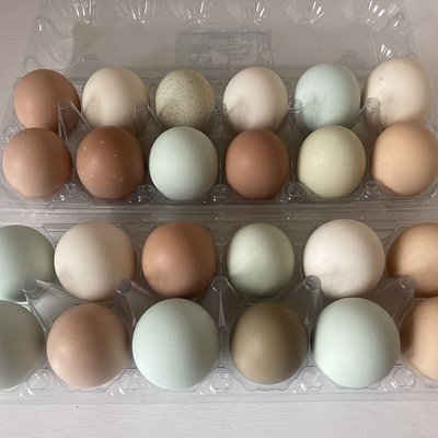 1 Dozen eggs 