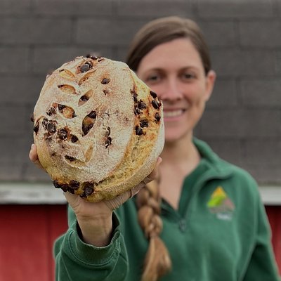 Sourdough Chocolate Chip Loaf