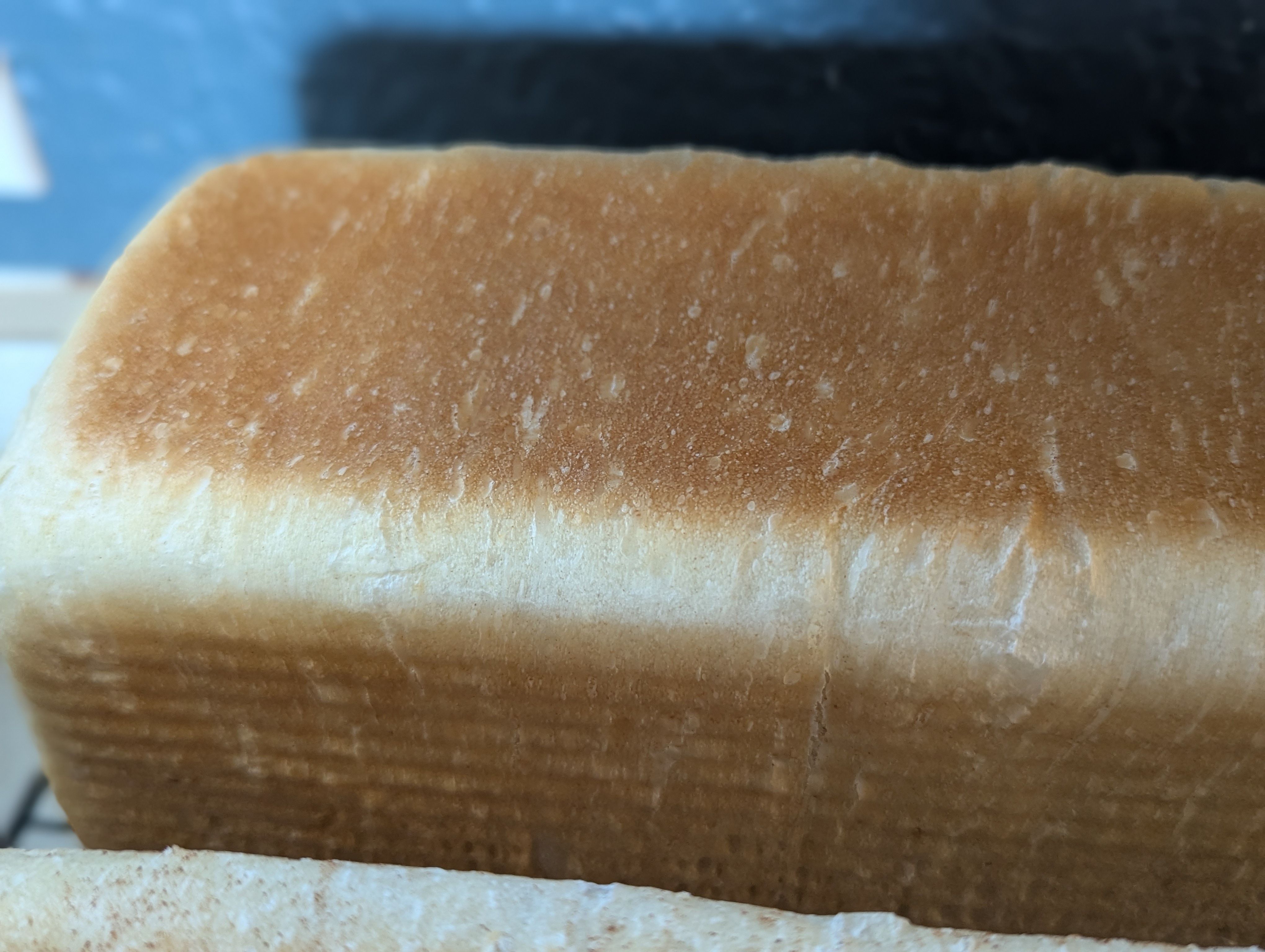 Sandwich Bread