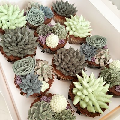 Succulent Garden