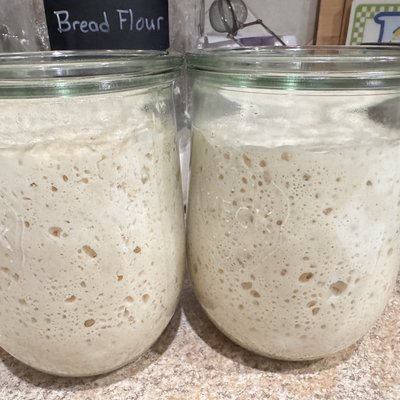 Dehydrated Sourdough Starter 