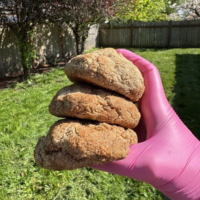High-Protein Snickerdoodle Cookie