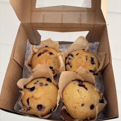 Sourdough Jumbo Blueberry Lemon Muffins (4 pk)