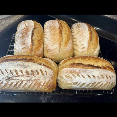 Plain Sourdough Loaf