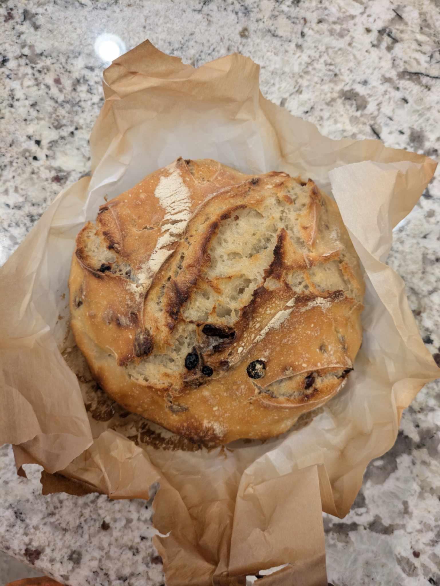🍫 Double Dutch Chocolate Sourdough 