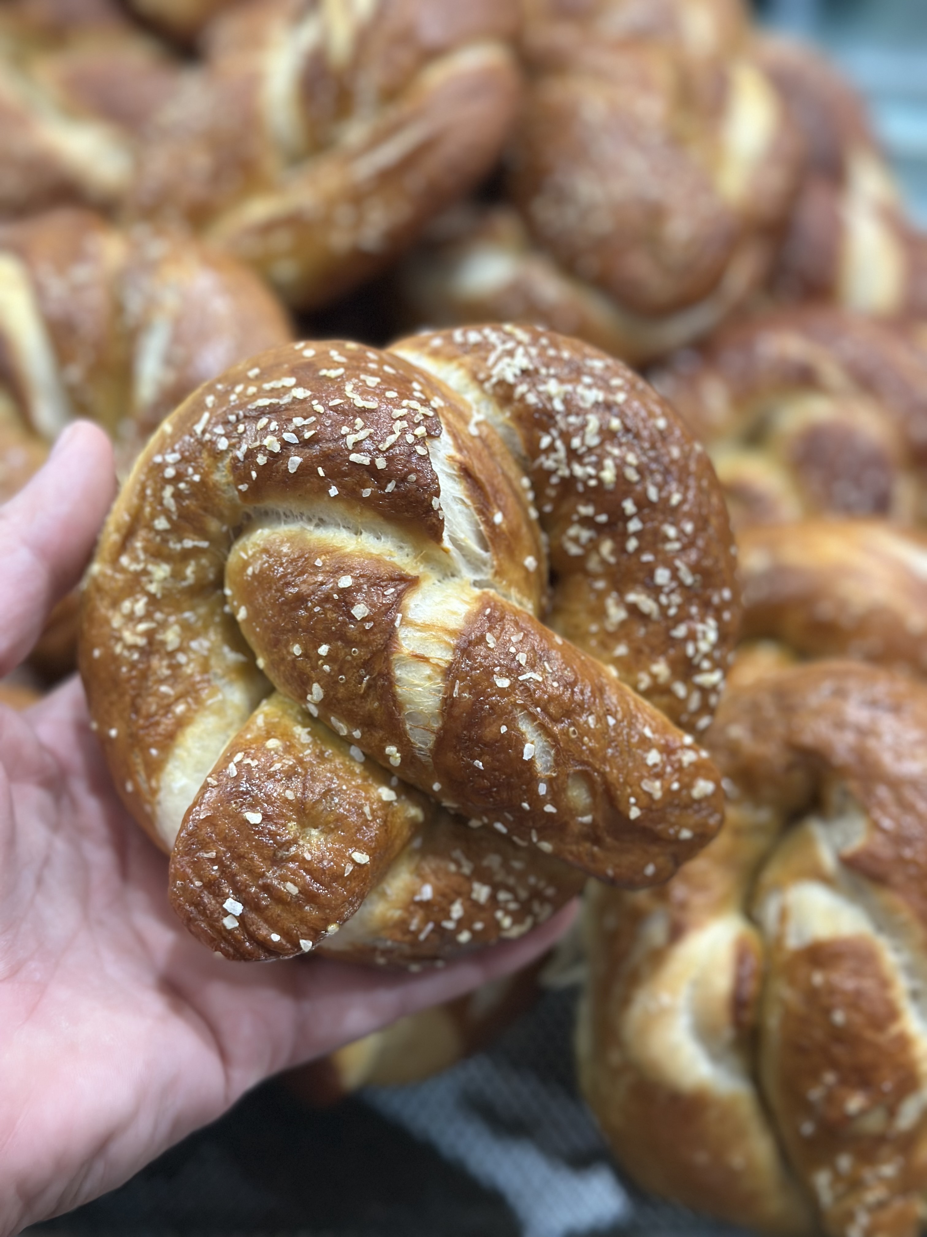 Single Sourdough Pretzel