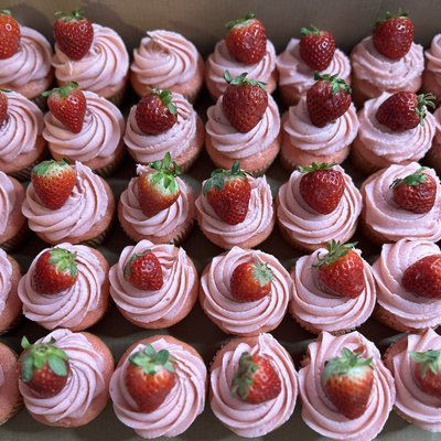 Strawberry Cupcakes 