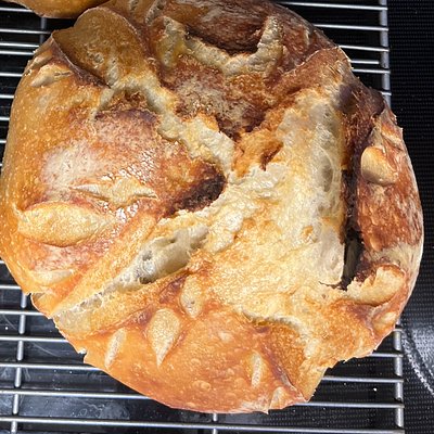 Plane Sourdough 