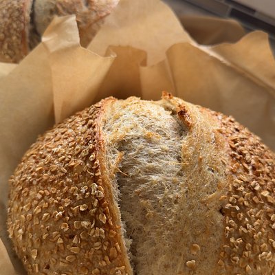 Whole Wheat 